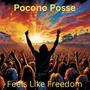 Feels Like Freedom (feat. Brian Pastor)