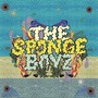 The sponge boyz (vol.1)