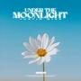 Under The Moonlight