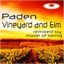 Vineyard and Elm