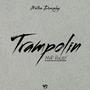 Trampolin (feat. NVR Rulay & VRMusic)