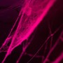 Webbing (Explicit)