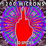 LSD Species