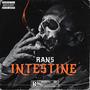 Intestine (Explicit)