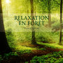 Relaxation En Foret