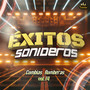 Cumbias Rumberas Vol. 14