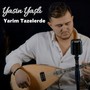 Yarim Tazelerde