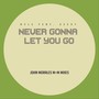 Never Gonna Let You Go (John Morales M+M Mixes)