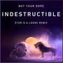 Indestructible (Star-D & Leone Remix)