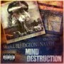 Mind Destruction (Explicit)