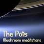 Mushroom Meditations