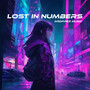 Lost In Numbers