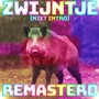 Zwijntje (niet intro) (2023 Remastered Version)