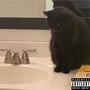 CatOnDaSink (Explicit)