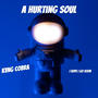A Hurting Soul (Explicit)