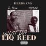 What Da Liq Reed (feat. TVee & 313rd) [Explicit]