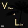 Vibes & Lies (Explicit)