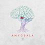 Amygdala