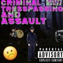 Criminal Tresspassing and Assault - EP (Explicit)