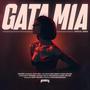 Gata Mia (feat. Archundia & Baby Milosz) [DRAMEK Remix] [Explicit]