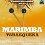 Cumbias Del Sureste Vol. 15
