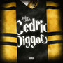 Cedric Diggory (Explicit)