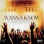 Wanna Know (Explicit)