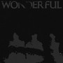 Wonderful (Explicit)