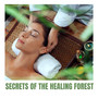 Secrets of the Healing Forest