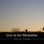 Live in the Meantime