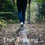 Dart Training (Explicit)