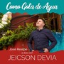 Como Gota de Agua (feat. José Realpe)