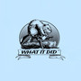 What It Did (Explicit)