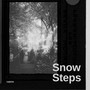 Snow Steps