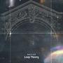 Loop Theory