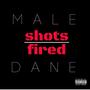 Shots Fired (Explicit)