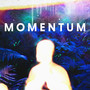 Momentum