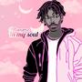 In My Soul (feat. Deestylez)