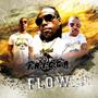 FLOW (Explicit)