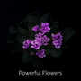 Powerful Flowers