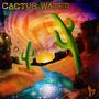 Cactus Water