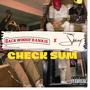 Check Sum (feat. Spoony) [Explicit]