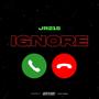 Ignore (Explicit)