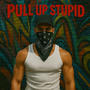 Pull up stupid