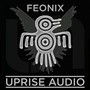 Feonix (Album Sampler)