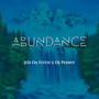 Abundance