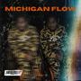 Michigan Flow (Explicit)