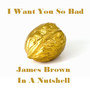 I Want You so Bad - James Brown in a Nutshell