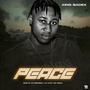 Peace (Explicit)