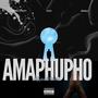 Amaphupho